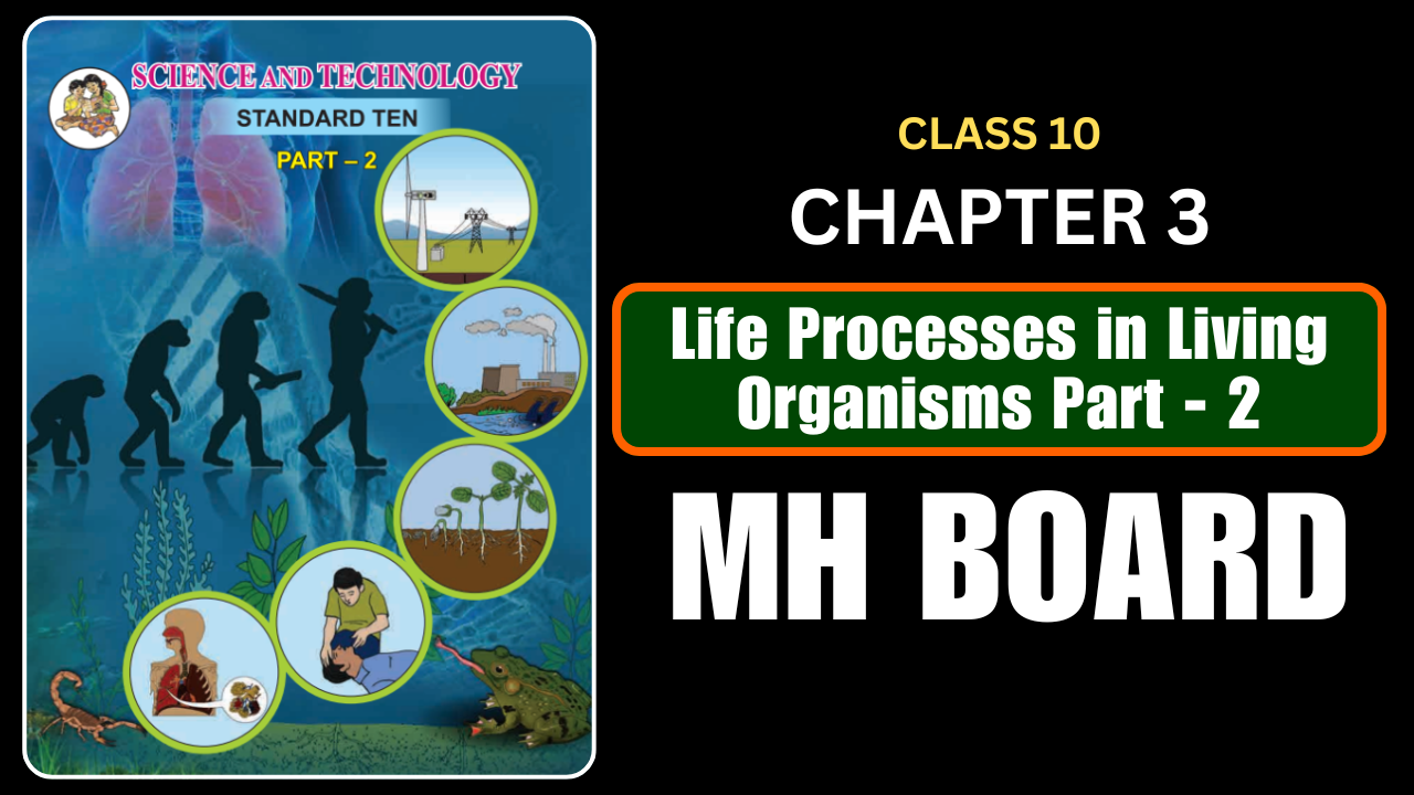 Life Processes in Living Organisms Part -2 Class 10 Science 2 Chapter 3 Questions And Answers Maharashtra Board